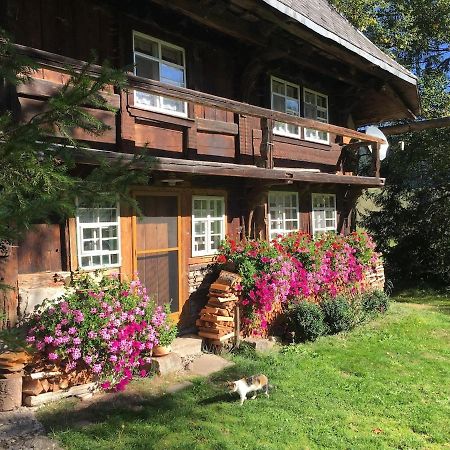 Romantisches Schwarzwaelder Bauernhaeuschen Huesli Am Griesbachhof Villa Titisee-Neustadt Eksteriør bilde