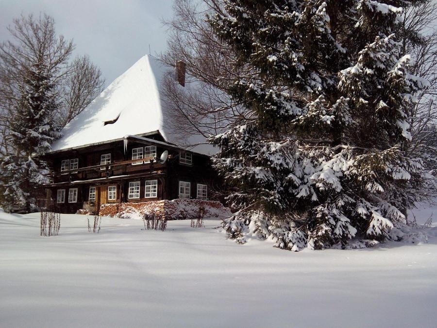 Romantisches Schwarzwaelder Bauernhaeuschen Huesli Am Griesbachhof Villa Titisee-Neustadt Eksteriør bilde