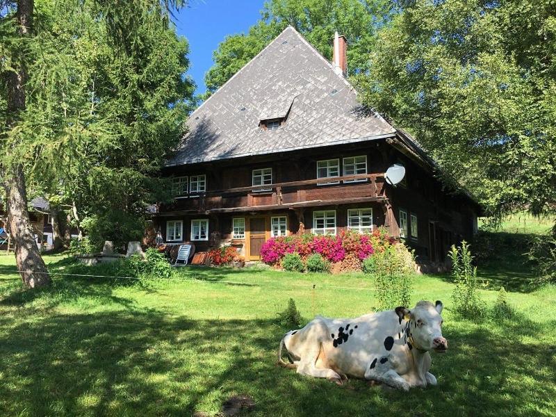 Romantisches Schwarzwaelder Bauernhaeuschen Huesli Am Griesbachhof Villa Titisee-Neustadt Eksteriør bilde