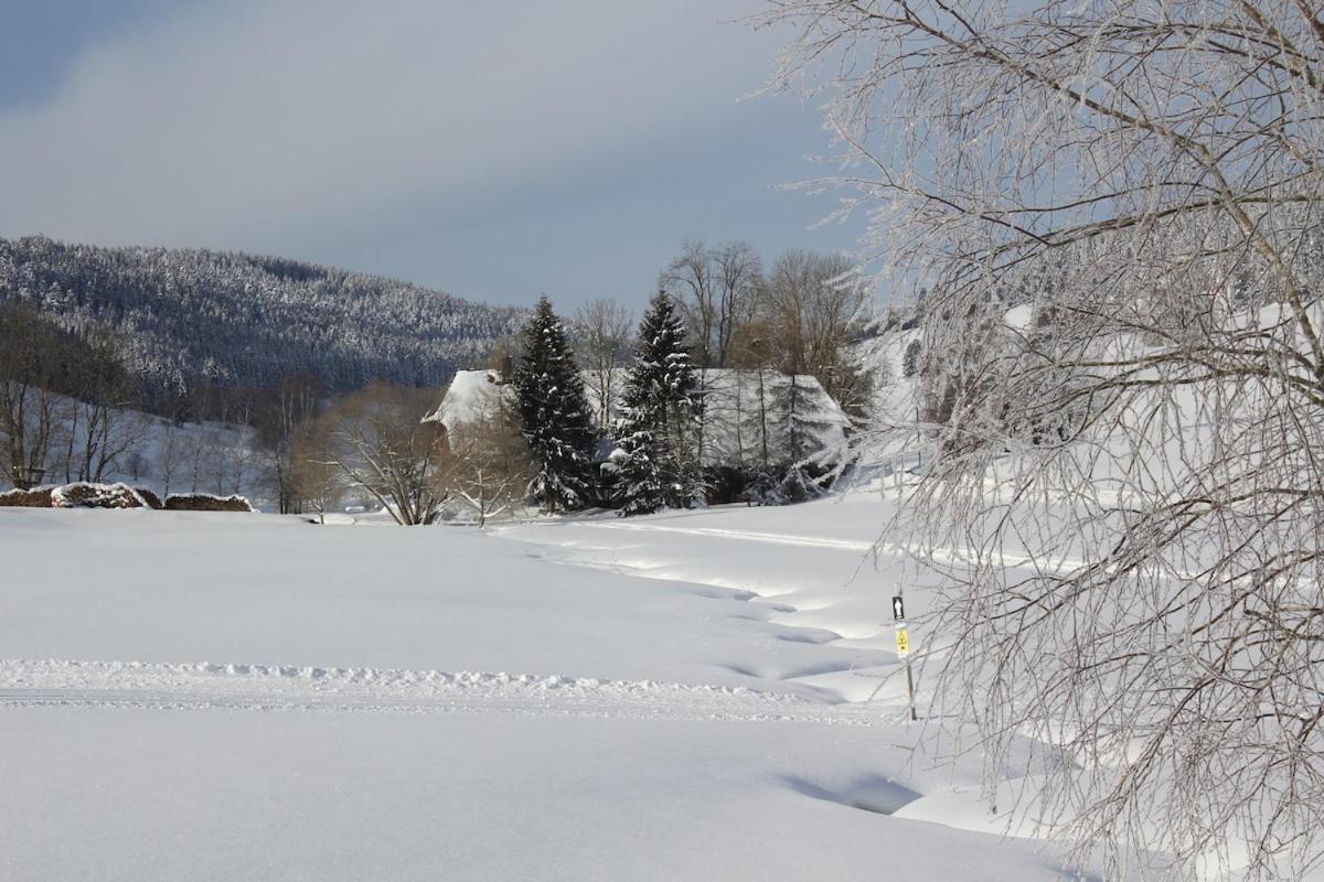 Romantisches Schwarzwaelder Bauernhaeuschen Huesli Am Griesbachhof Villa Titisee-Neustadt Eksteriør bilde