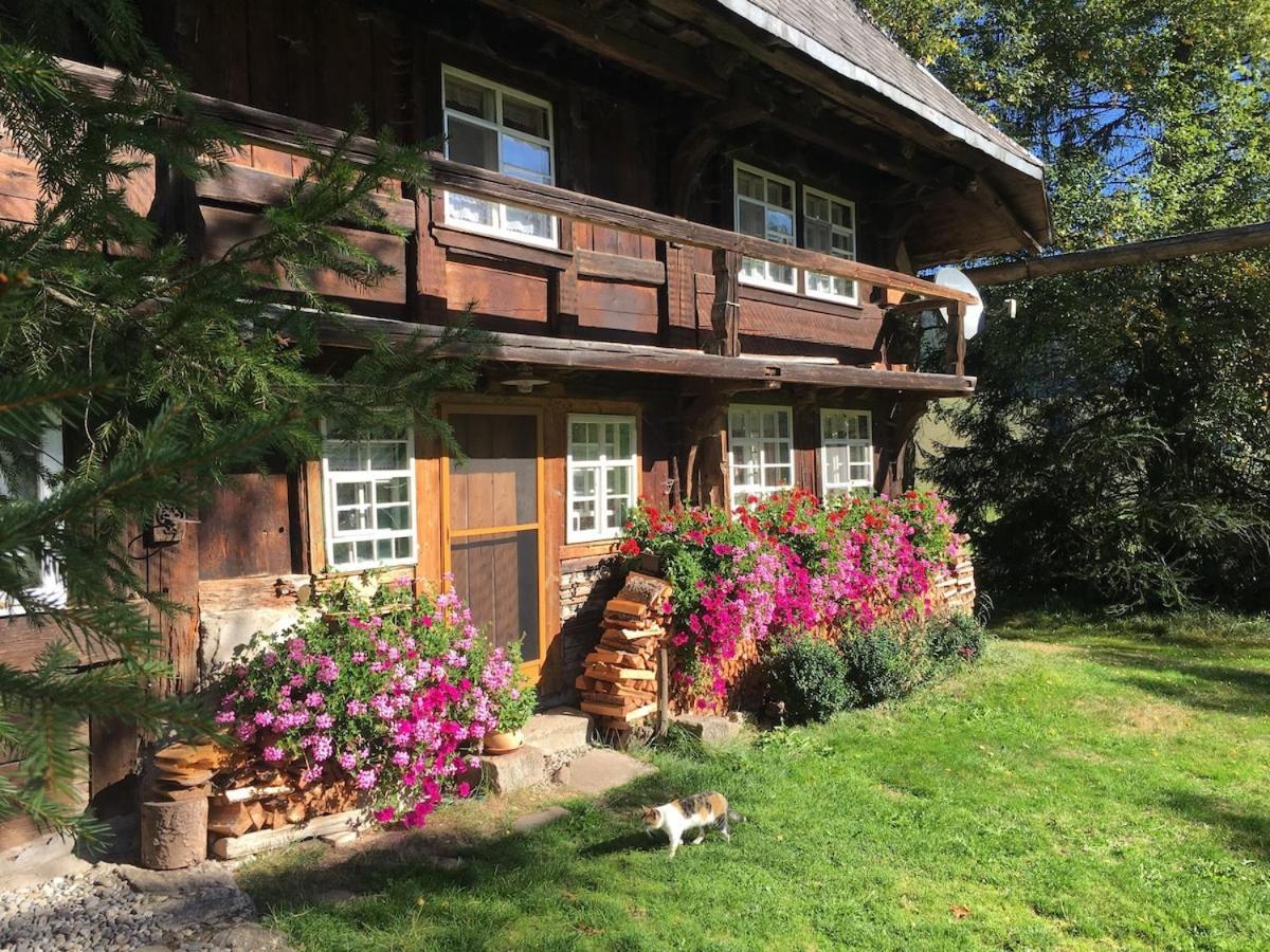 Romantisches Schwarzwaelder Bauernhaeuschen Huesli Am Griesbachhof Villa Titisee-Neustadt Eksteriør bilde