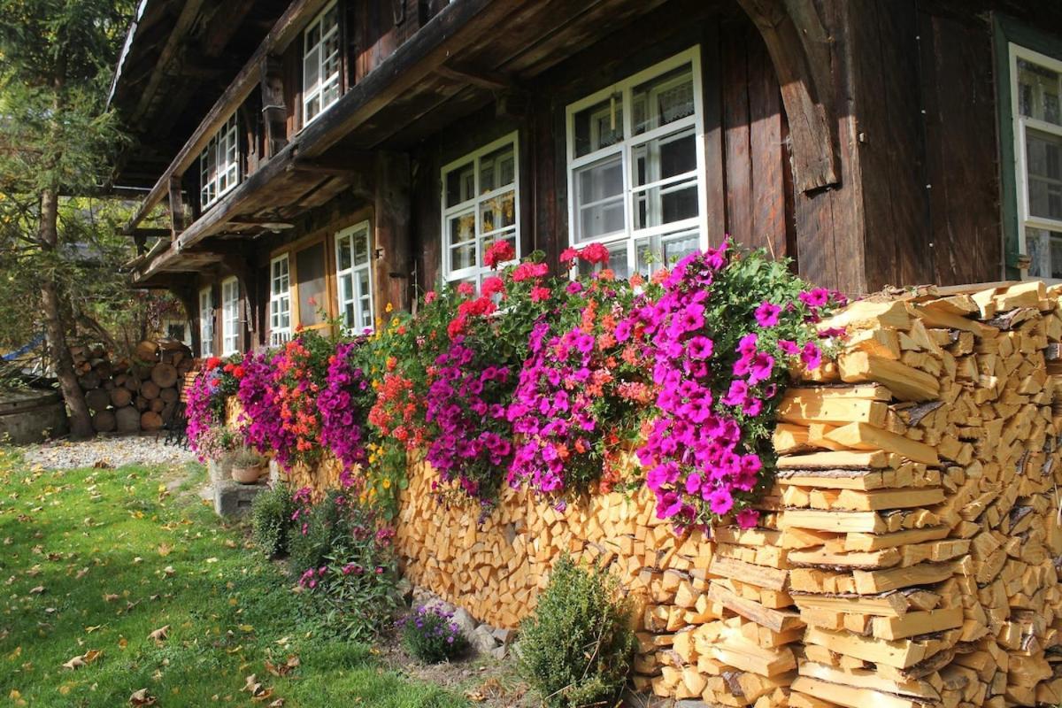 Romantisches Schwarzwaelder Bauernhaeuschen Huesli Am Griesbachhof Villa Titisee-Neustadt Eksteriør bilde